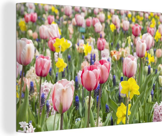 Tulp tuin Canvas 120x80 cm - Foto print op Canvas schilderij (Wanddecoratie)