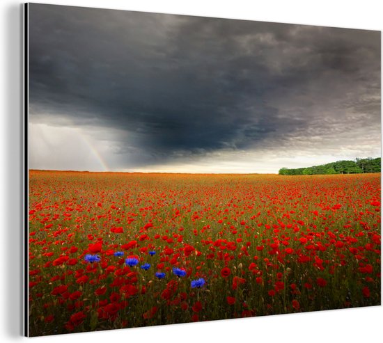 Rode bloemen grijze lucht foto Aluminium 60x40 cm - Foto print op Aluminium (metaal wanddecoratie)
