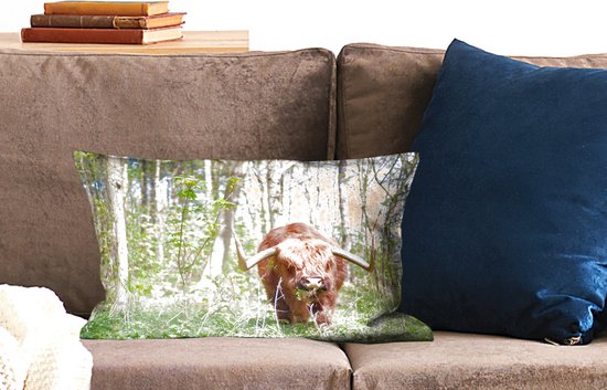 Sierkussen décoratif Highlander Cows pour usage intérieur - Highlander in the forest - 50x30 cm - coussin intérieur rectangulaire en coton