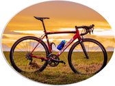 WallClassics - PVC Schuimplaat Ovaal - Rode Racefiets in Landschap - 68x51 cm Foto op Ovaal  (Met Ophangsysteem)