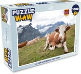 Puzzel Koeien - Weide - Alpen - Legpuzzel - Puzzel 1000 stukjes volwassenen