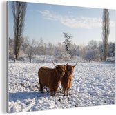 Wanddecoratie Metaal - Aluminium Schilderij Industrieel - Schotse hooglander - Licht - Sneeuw - 80x60 cm - Dibond - Foto op aluminium - Industriële muurdecoratie - Voor de woonkamer/slaapkamer