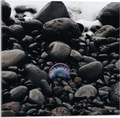 WallClassics - Acrylglas - Kwalletje tussen Stenen - 50x50 cm Foto op Acrylglas (Wanddecoratie op Acrylaat)