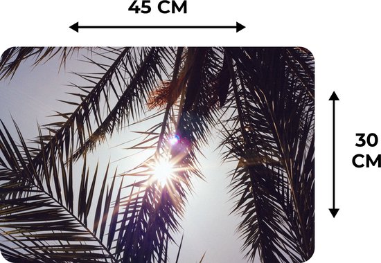 Set de Table - Napperons en Plastique - Feuilles de Palmier - Soleil - Été - 45x30 cm - 6 Pièces - Résistant à la Chaleur - Antidérapant - Pad - Amovible