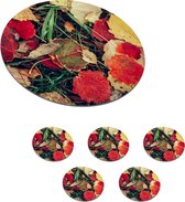 Onderzetters voor glazen - Rond - Bladeren - November - Herfst - Natuur - 10x10 cm - Glasonderzetters - 6 stuks