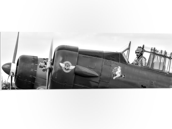 WallClassics - PVC Schuimplaat - Piloot in Klein Vliegtuigje in het zwart/wit - 90x30 cm Foto op PVC Schuimplaat (Met Ophangsysteem)