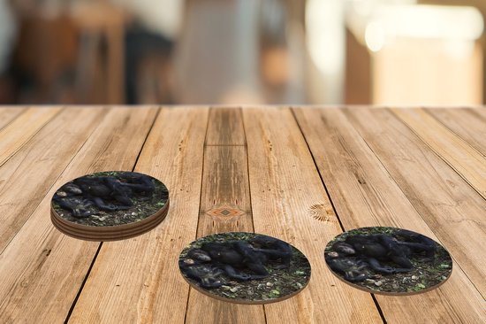 Sous-verres verres à verres - Ronds - Singes - Endormis - Forêt - 10x10 cm - Sous-verres en verre - 6 pièces