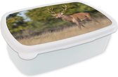 Broodtrommel Wit - Lunchbox - Brooddoos - Dieren - Hert - Gewei - Bosdieren - Natuur - 18x12x6 cm - Volwassenen