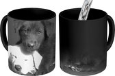 Magische Mok - Foto op Warmte Mokken - Koffiemok - Honden - Puppy - Zwart - Wit - Dieren - Magic Mok - Beker - 350 ML - Theemok
