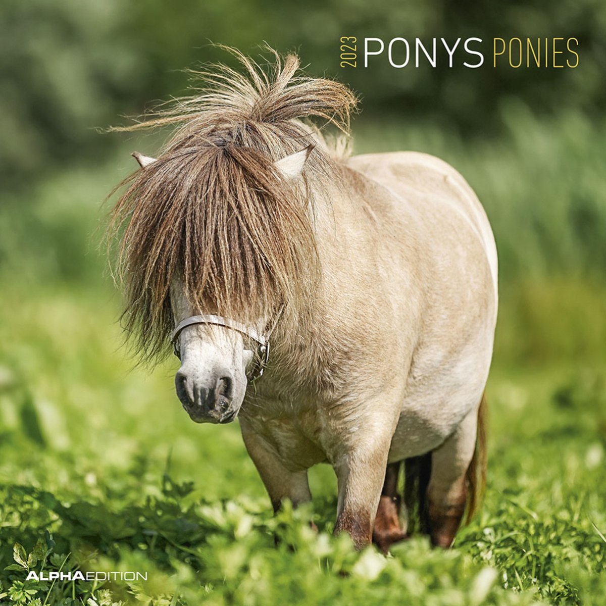 Ponys 2023 30x30