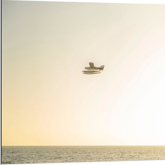 WallClassics - Dibond - Klein Vliegtuig boven het Zeewater - 80x80 cm Foto op Aluminium (Met Ophangsysteem)