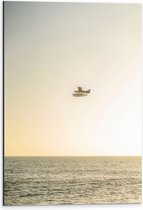 WallClassics - Dibond - Klein Vliegtuig boven het Zeewater - 40x60 cm Foto op Aluminium (Met Ophangsysteem)
