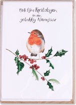 3 Pakjes kerstkaarten Christa Mulder Design, Bird Robin, 8-delig met kraft envelop