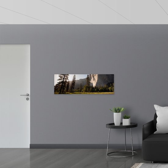 WallClassics - Panneau en mousse PVC - Champ ouvert et forêt le long d'une très haute Berg - Photo 120x40 cm sur panneau en mousse PVC