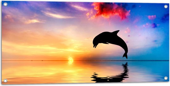 WallClassics - Tuinposter – Silhouet van Dolfijn bij Ondergaande Zon in het Water - 100x50 cm Foto op Tuinposter  (wanddecoratie voor buiten en binnen)