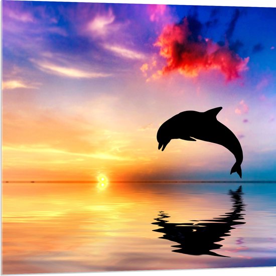 WallClassics - Acrylglas - Silhouet van Dolfijn bij Ondergaande Zon in het Water - 80x80 cm Foto op Acrylglas (Wanddecoratie op Acrylaat)