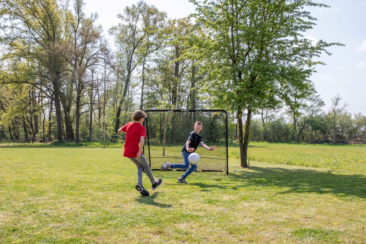VirtuFit Voetbaldoel Pro met Doelwand - Voetbalgoal - 220 x 170 cm - Doelwand met 2 open zones - Snelle montage - Voetbaldoel met gatendoek - Inclusief 4 grondankers — afbeelding 5