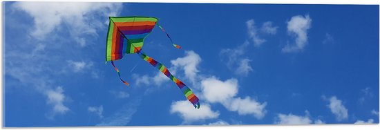 WallClassics - Acrylglas - Regenboog Vlieger in de Lucht - 90x30 cm Foto op Acrylglas (Wanddecoratie op Acrylaat)