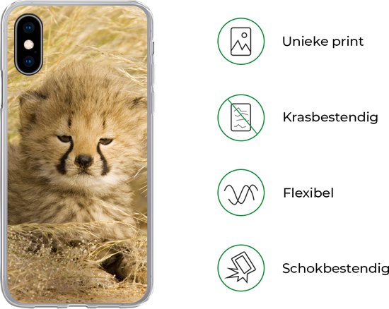 Telefoonhoesje Geschikt voor iPhone X hoesje - Cheeta - Jong - Gras - Siliconen Telefoonhoesje Telefoonhoesje