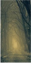 WallClassics - Poster Glanzend – Mist op Bospad Omringd door Bomen - 50x100 cm Foto op Posterpapier met Glanzende Afwerking