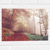 WallClassics - Muursticker - Mistig Herfstbos - 40x30 cm Foto op Muursticker