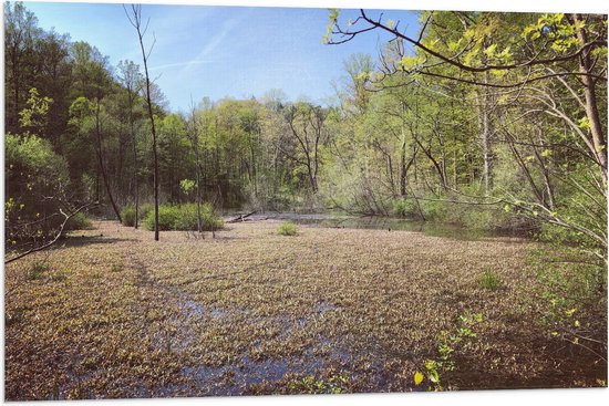 WallClassics - Drapeau - Zone Marécageuse - 90x60 cm Photo sur Drapeau Polyester