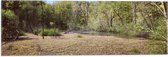 WallClassics - Vlag - Moeras Gebied - 60x20 cm Foto op Polyester Vlag