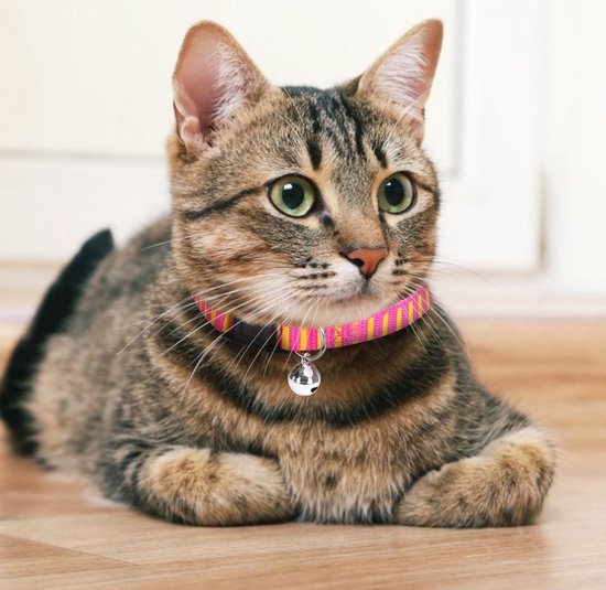 Zachte kattenhalsband, herstelhalsband voor katten, verstelbare