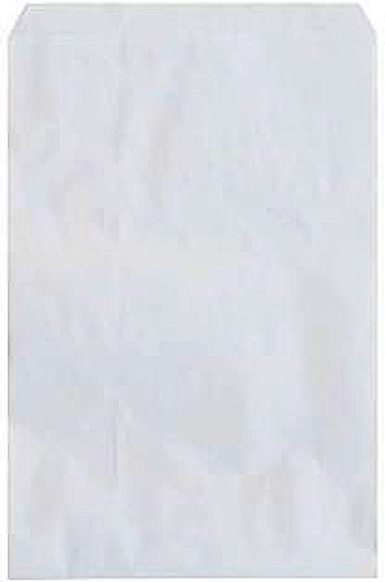 Goedkoopste Eco Papieren Zakken Cellulose Wit 120x180mm - 100 st