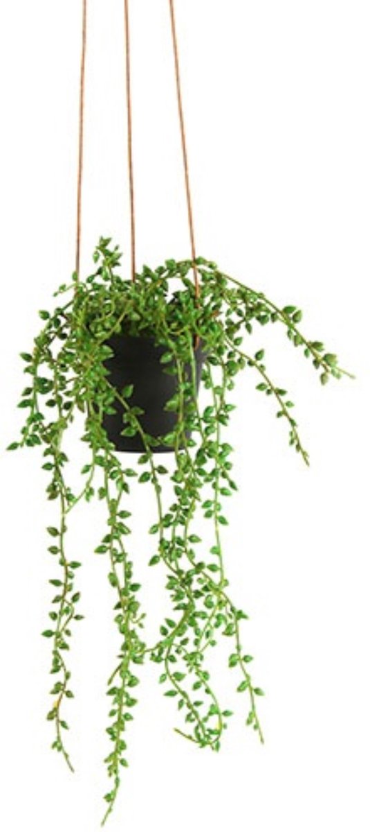 Outsunny 2-delige Set Kunstmatige Laurierboom, 90 cm, Kunstplanten in Cementpot, Kunststof