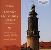 J.S. Bach: Leipziger Chorale, Bwv 651-667