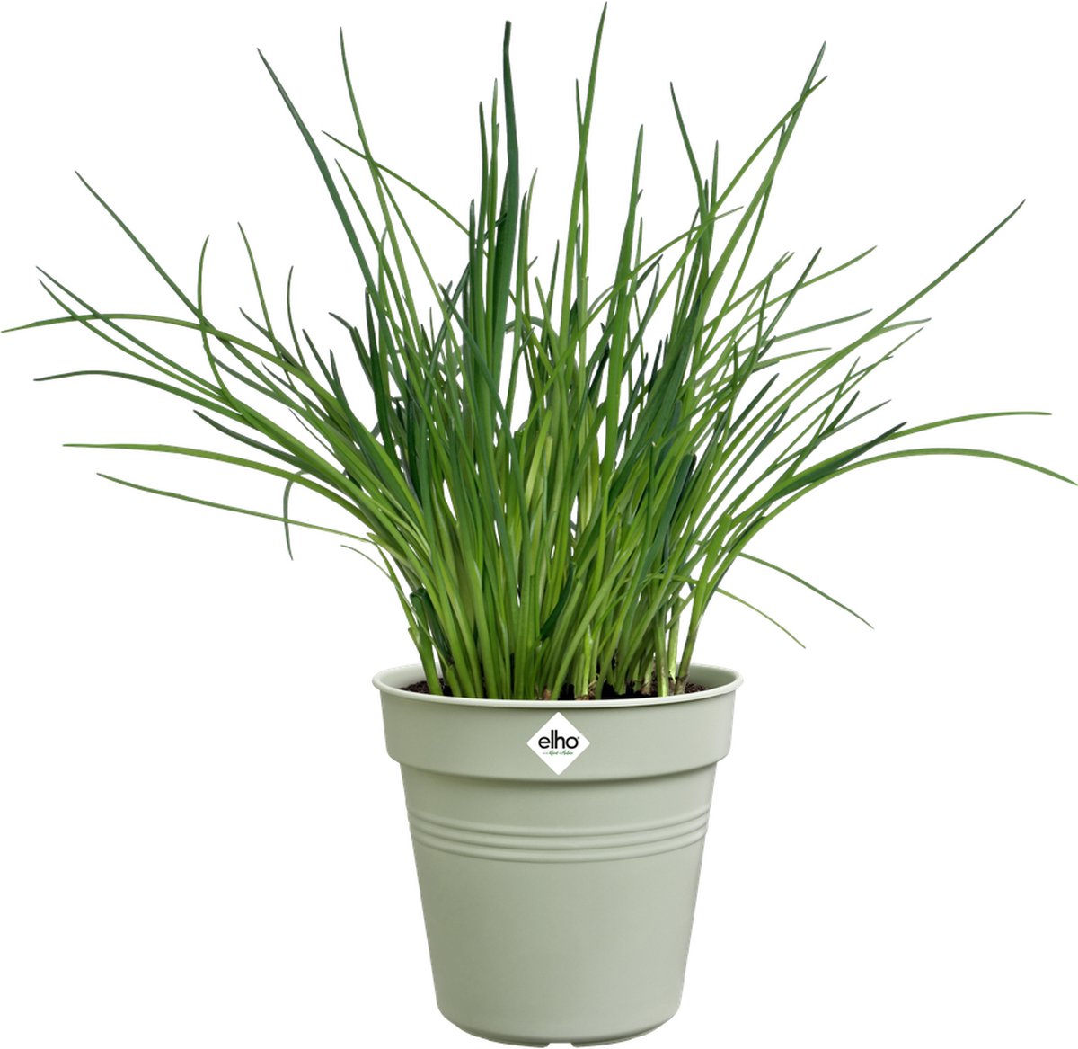 Elho Green Basics Orchidee 13 - Bloempot voor Binnenbuitenkweken En Oogsten - Ø 13.1 x H 12.0 cm - Steengroen