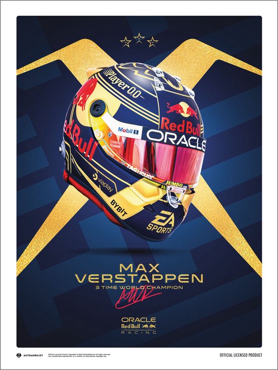 Max Verstappen Wereldkampioen 2023 Helm Art Print 40x50cm | Poster