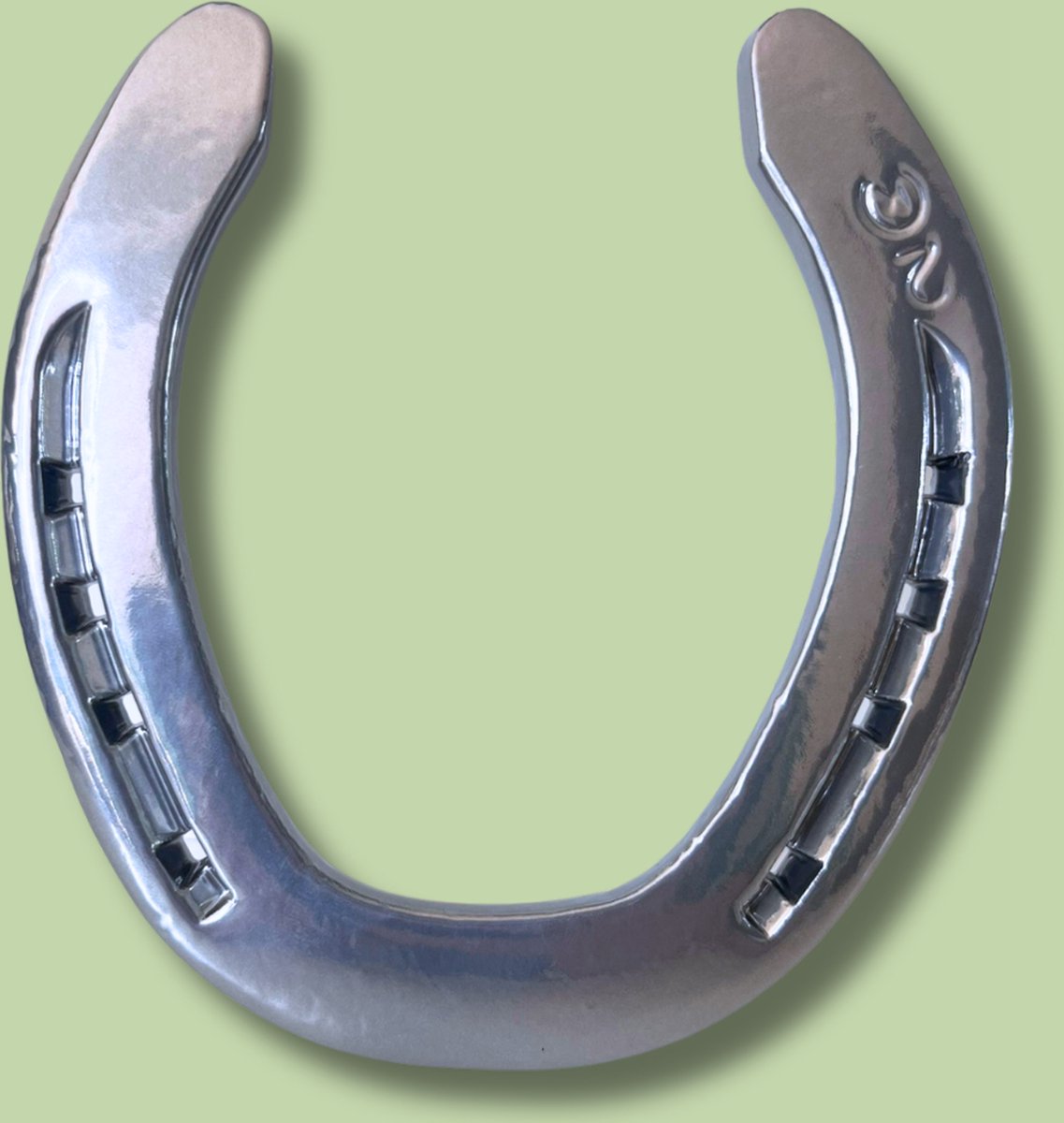 Hoefijzergeschenk.nl - Chromen Hoefijzer - Geluksbrenger - Chroom - IJzer - 15 x 15 cm