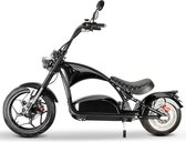 M20 Pro Fatbike E-bike 750 Watt 25km/u Fattire 20’’x4 dikke banden met dubbele batterijen 110km afstand