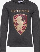 Harry Potter - longsleeve - meisjes - Gryffindor - 100% Jersey katoen - grijs - maat 110/116