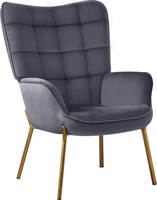 Moderne fauteuil fauteuil voor woonkamer