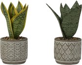 Groene Kunstplant - Sansevieria - Met Pot - 19 cm - Assortiment