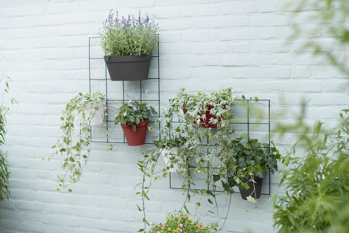 Elho Loft Urban Green Wall Pot Single 15 - Pot de fleurs pour l'extérieur