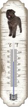 Thermometer: Bouvier des Flanders | Hondenras | Temperatuur binnen en buiten | -25 tot +45C