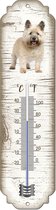 Thermometer: Cairn Terriër | Hondenras | Temperatuur binnen en buiten | -25 tot +45C