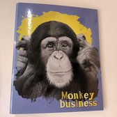 Monkey Business Ringband Ringmap Klapper 2-rings Lilla Aap Chimpansee Lannoo Graphics