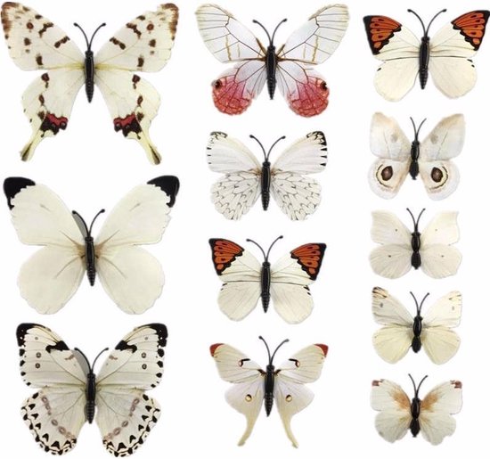 Jumada's - Papillons muraux - Papillons 3D enchanteurs pour la chambre de bébé - Wit et colorés !