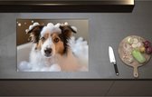 Inductieplaat Beschermer - Border collie hond in bad met zeepbubbels - 71x52 cm - 2 mm Dik - Inductie Beschermer - Bescherming Inductiekookplaat - Kookplaat Beschermer van Wit Vinyl