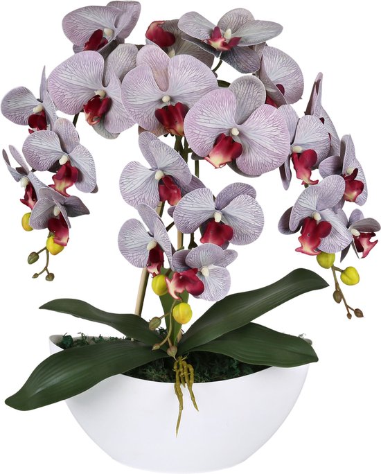 Kunstmatige Orchidee in Pot, Grijs, Levensecht, 3 Stelen 53 cm