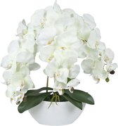 Kunstmatige Orchidee in Pot, Ecru, Levensecht, 3 Stelen, 53 cm