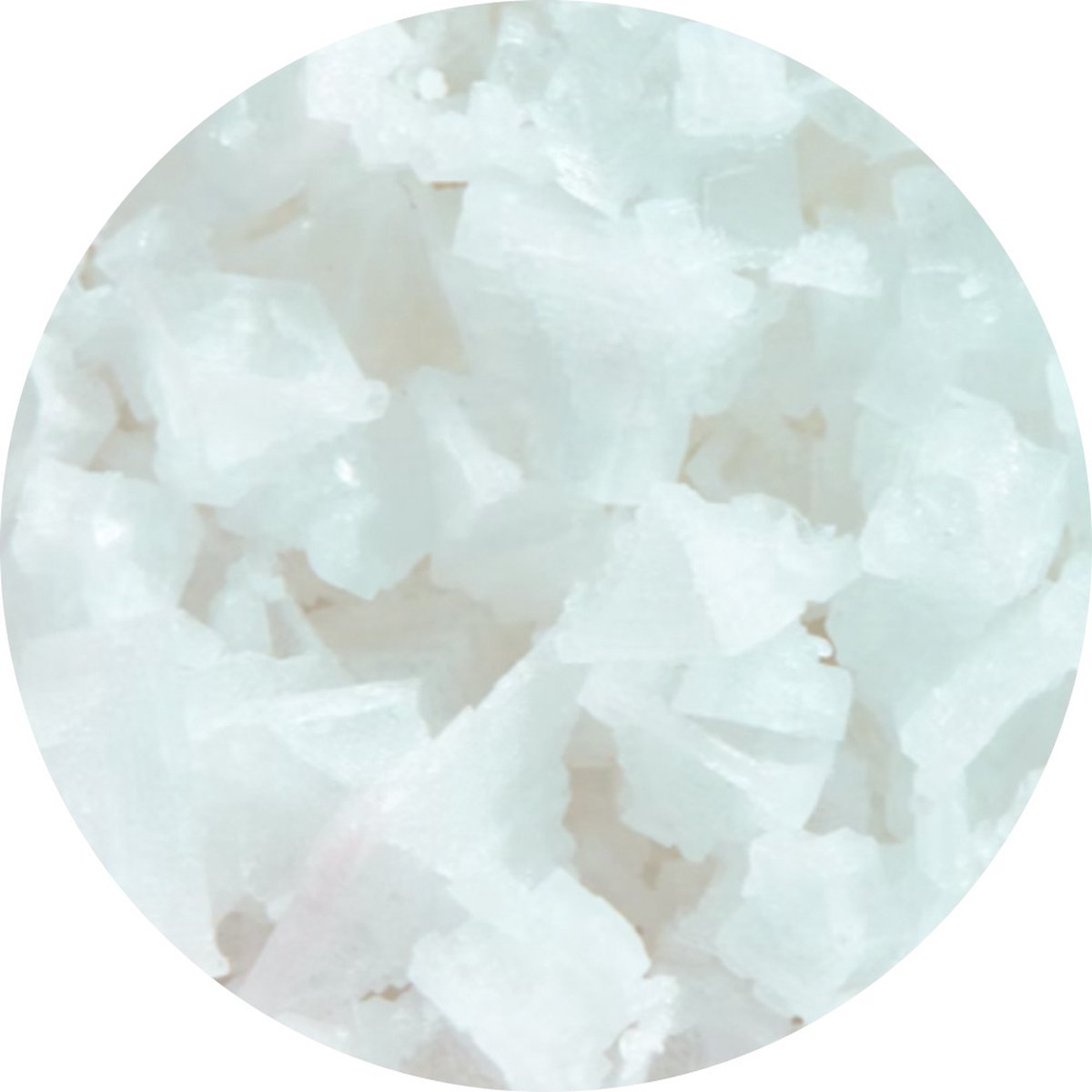 Goedkoopste Van Beekum Specerijen - Fleur De Sel Piramidezout - 12 KG - Doos (bulk verpakking