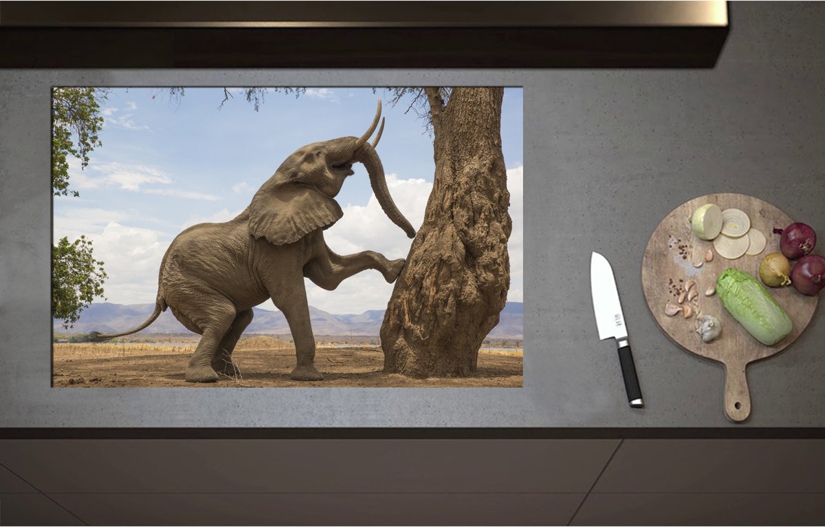 Inductieplaat Beschermer - Blije Afrikaanse Olifant - 85x55 cm - 2 mm Dik - Inductie Beschermer - Bescherming Inductiekookplaat - Kookplaat Beschermer van Wit Vinyl