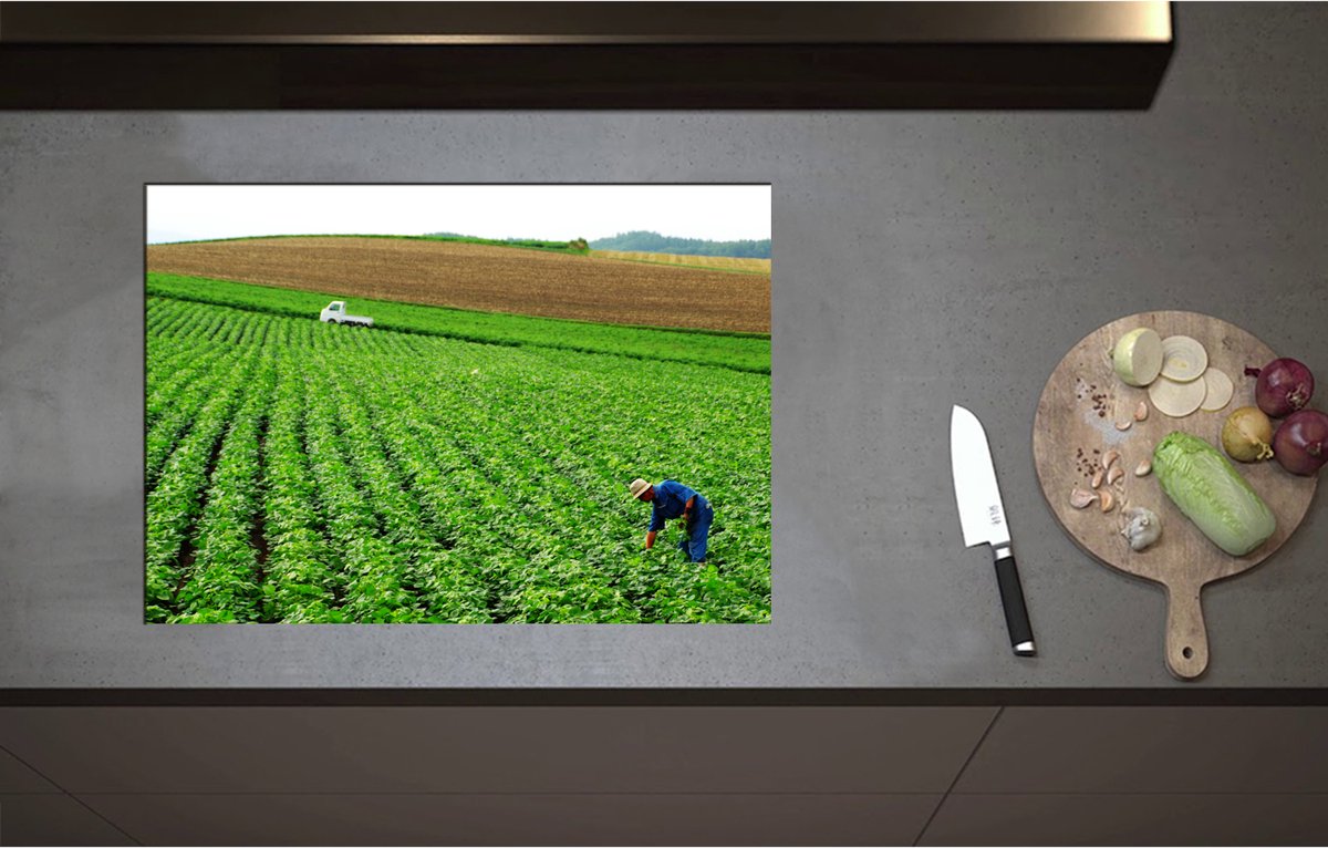 Inductieplaat Beschermer - Boer werkend op het Land vol Gewassen - 71x50 cm - 2 mm Dik - Inductie Beschermer - Bescherming Inductiekookplaat - Kookplaat Beschermer van Wit Vinyl
