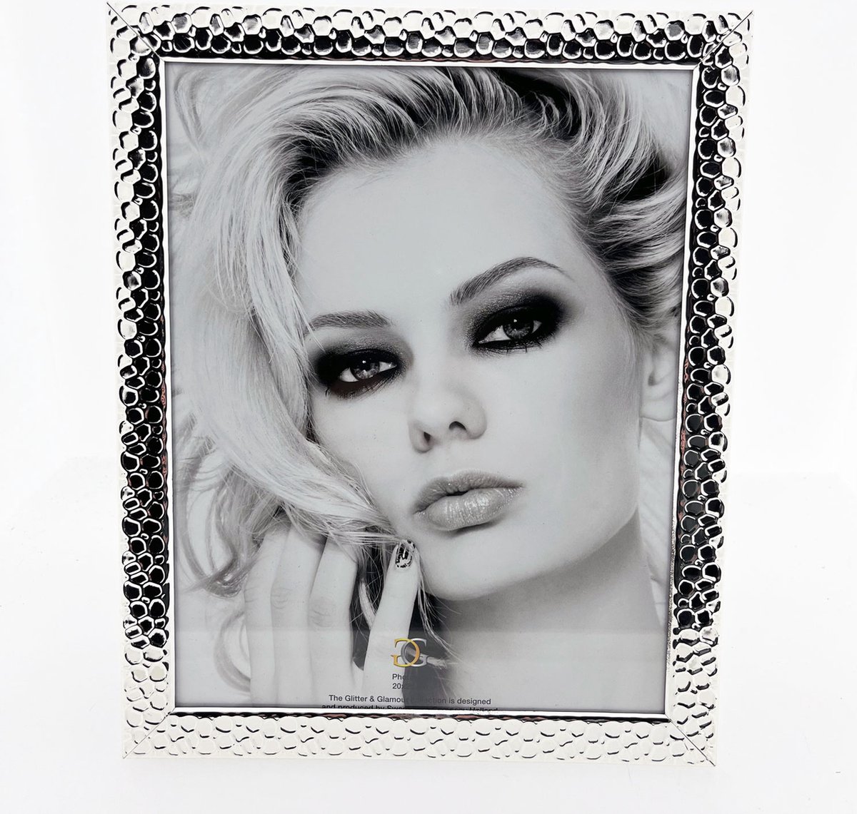 AL Fotolijst - Zilver - Luipaard - 20 x 25 cm